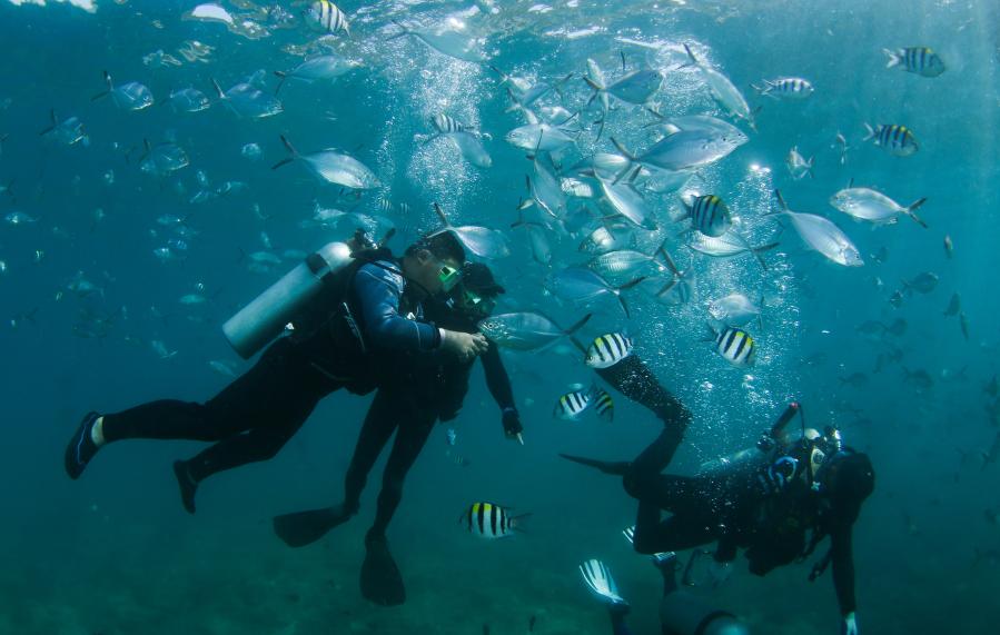 海南三亞：潛水享假期
