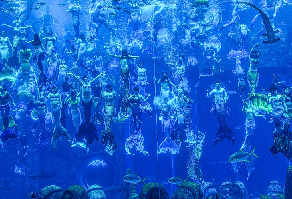 三亞亞特蘭蒂斯成功挑戰“最大規模的水下人魚秀”吉尼斯世界紀錄稱號