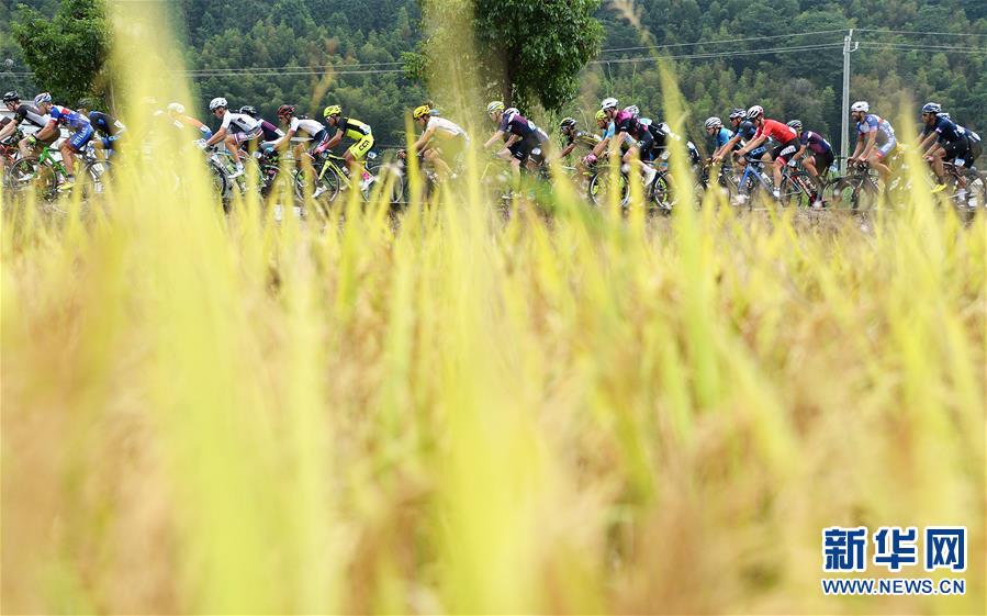 （体育）（2）自行车——第八届环鄱阳湖国际自行车大赛吉安安福站赛况