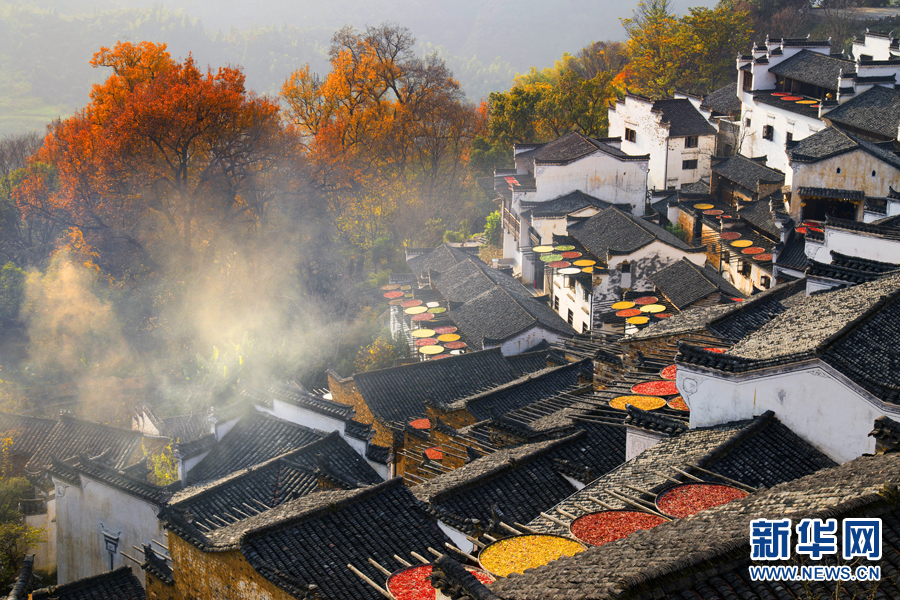 方华彬)一场秋雨后,婺源气温明显下降,11月14日,篁岭,长溪和秋口等地