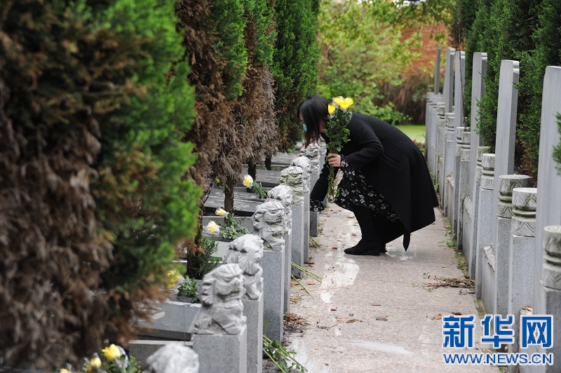 南昌青云谱:"集体代祭""云祭扫"寄哀思