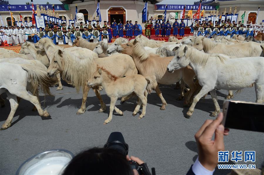 （文化）（6）內蒙古成吉思汗陵舉行春季大祭
