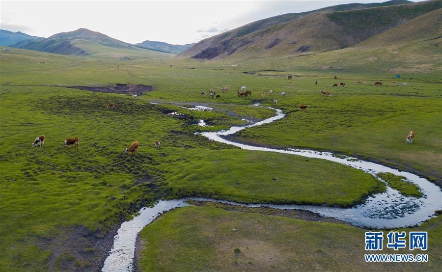 （环境）（1）内蒙古草原进入全面返青期