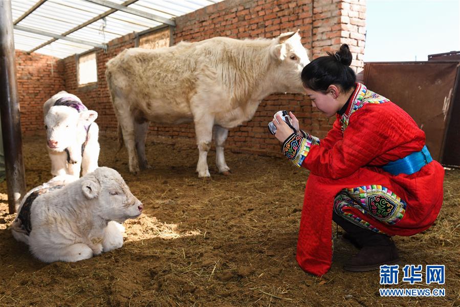 （社会）（5）蒙古族姑娘返乡创业 记录牧区生活成“网红”