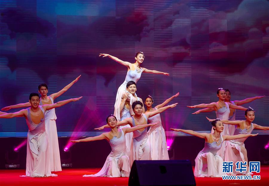 （文化）（2）中国残疾人艺术团公益慰问演出献艺宁夏西吉