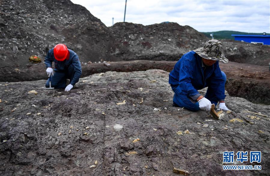 （社会）（2）吉林延吉龙山恐龙化石群进行系统发掘