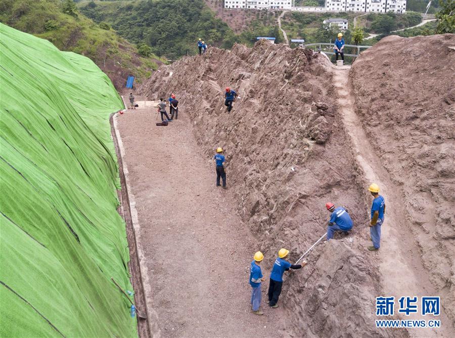 （科技）（7）重庆云阳发现世界级恐龙化石群