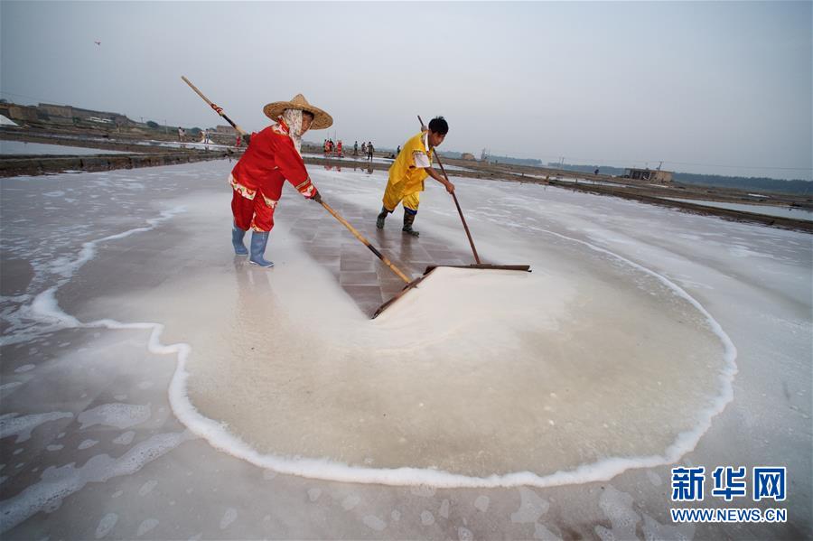 （社会）（1）福建泉州：百年盐场的繁忙伏收季