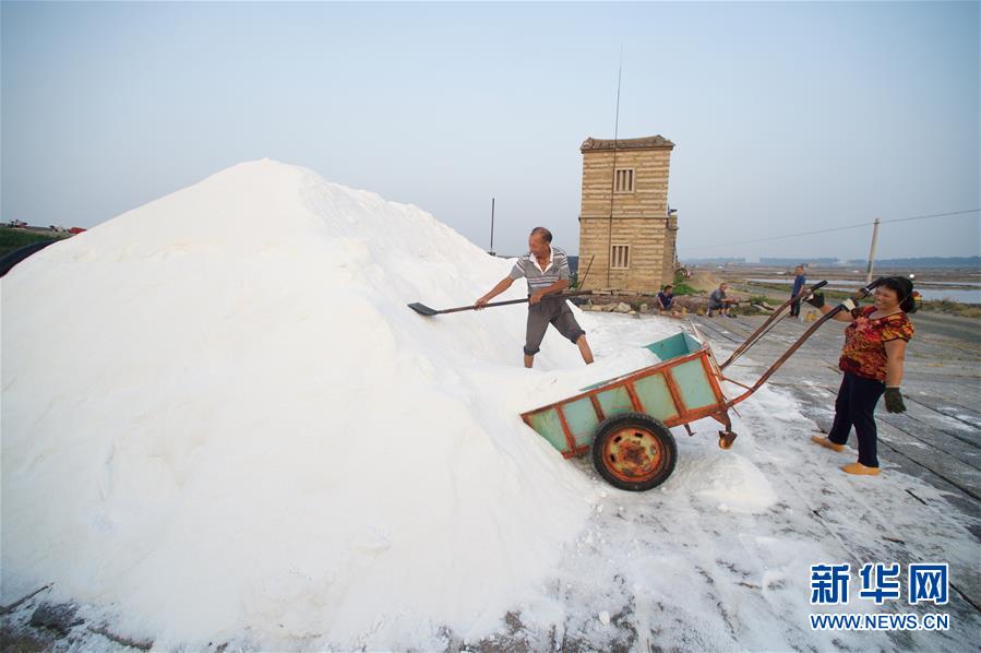 （社会）（6）福建泉州：百年盐场的繁忙伏收季