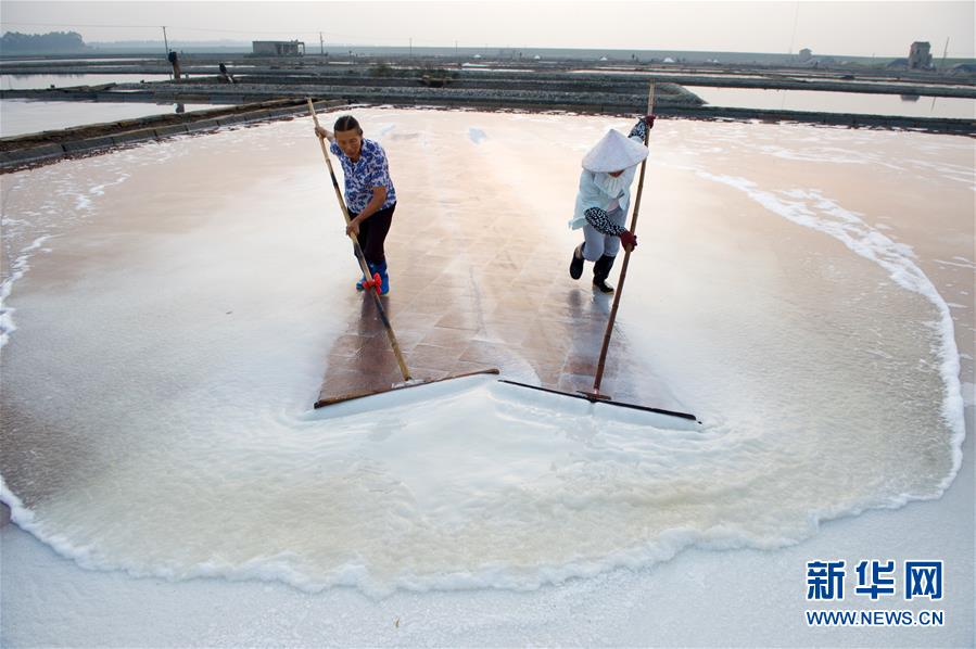 （社會）（10）福建泉州：百年鹽場的繁忙伏收季