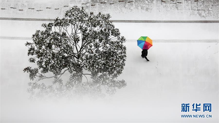 1月4日，在山东省临沂市郯城县街头，一名行人在雪中行走。新华社发（张春雷 摄）