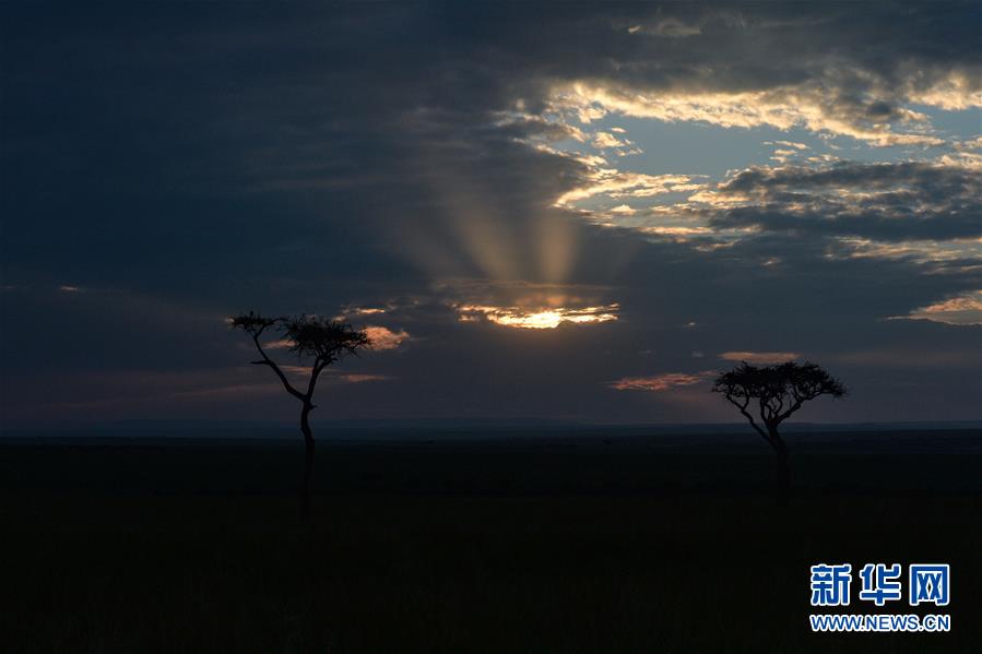 （国际）（14）肯尼亚马赛马拉国家保护区掠影