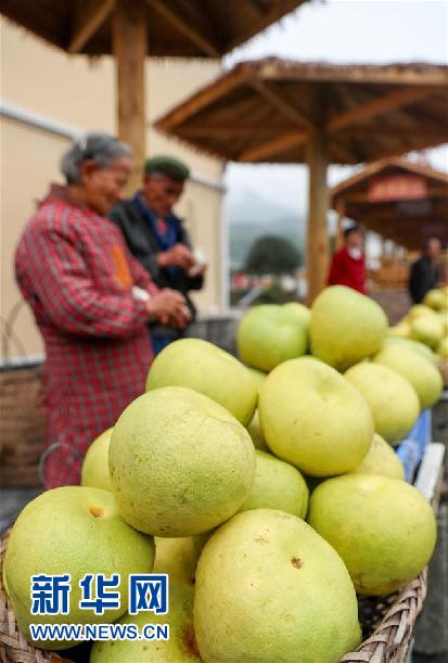 #（经济）（2）四川华蓥：“水果产业+庭院经济”助农增收