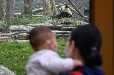 武漢動物園有序恢復開放