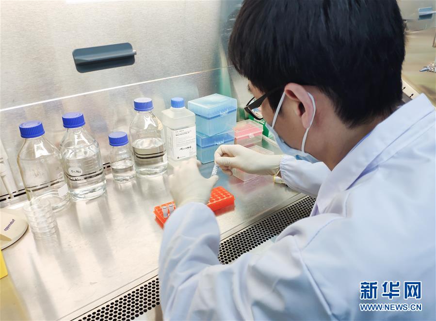 （图文互动）（1）上海研制新冠病毒核酸标准物质获批