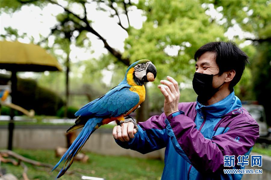 （新华视界）（2）上海动物园：让动物们的生活更精彩