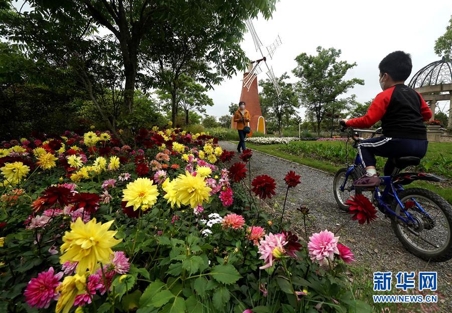 （社會）（1）2020上海寶山區月浦鎮花藝展開幕