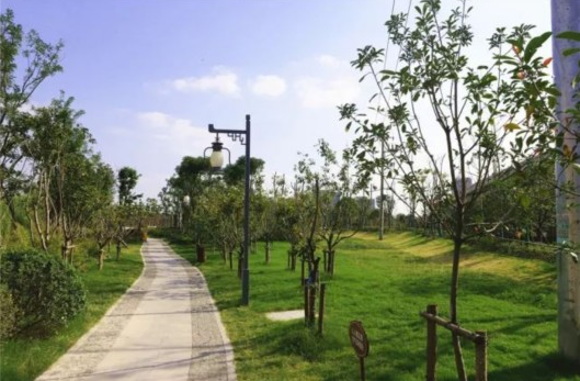 嘉闵高架（南翔段）生态景观廊道绿植完工 年底开放
