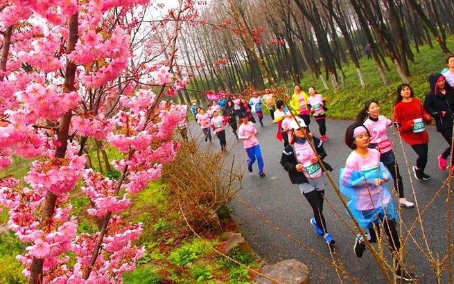 全民健身——上海举行樱花节女子10公里精英赛