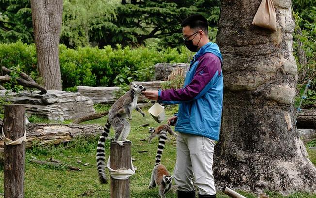 上海动物园：让动物们的生活更精彩