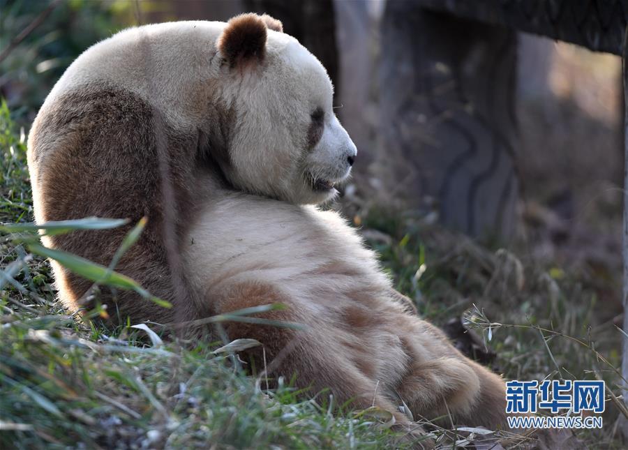 （环境）（12）巍峨秦岭 生态屏障