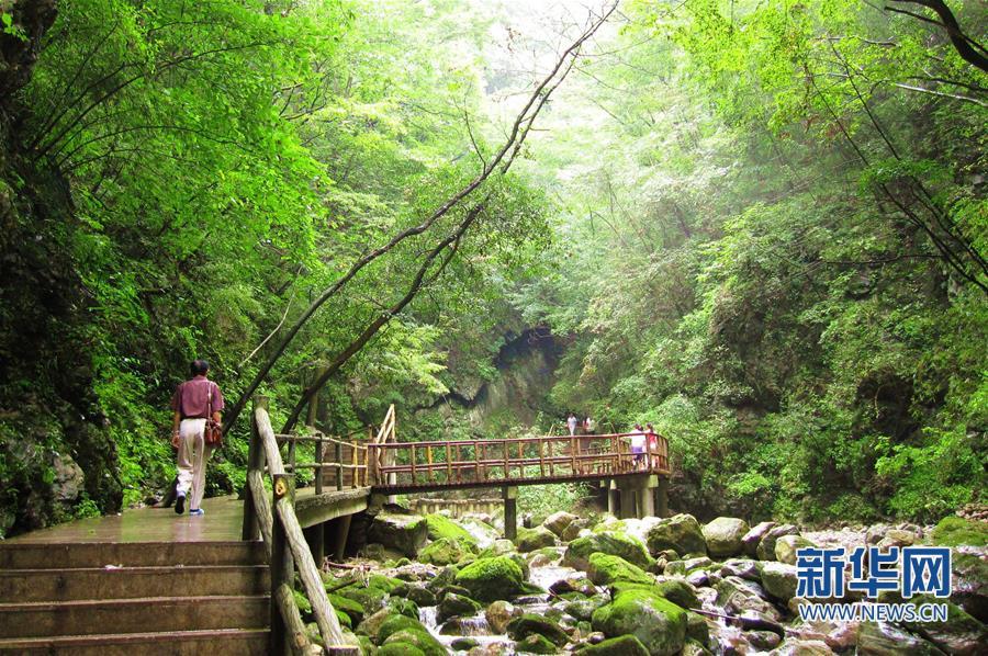 （环境）（13）巍峨秦岭 生态屏障