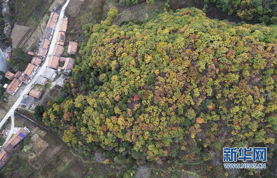 （环境）（18）巍峨秦岭 生态屏障