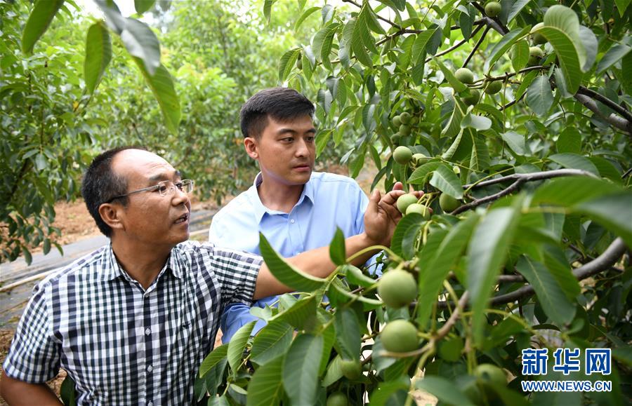 （脫貧攻堅）（4）扶貧干部楊明：不負好時光