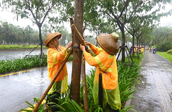 海南三亚：防范台风“桑卡”