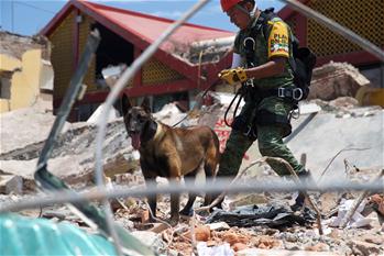 墨西哥地震搜救工作继续 死亡人数上升至90人