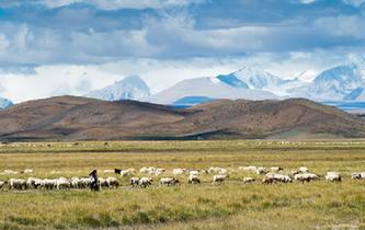 西藏日喀则美景如画