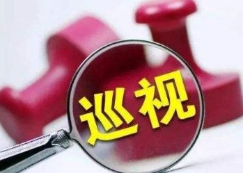 从辽宁整改情况看十九届中央第一轮巡视"后半篇文章"