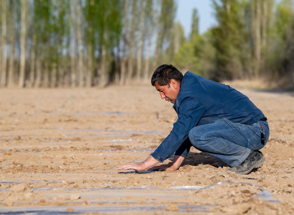 新華全媒 | 新疆棉農伊力·買買提的春播季