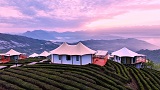 湖北興山：農民端上“茶旅融合”金飯碗