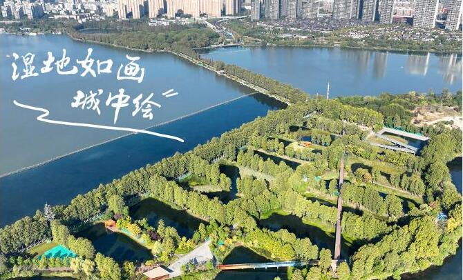 ［新华全媒+］湿地如画城中绘——湖北武汉