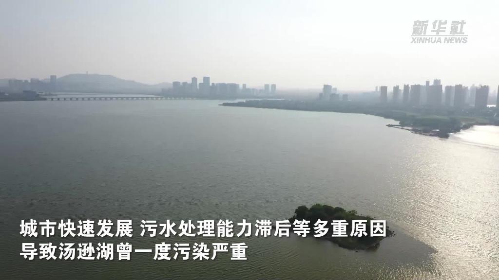 武汉最大城中湖生态环境向好