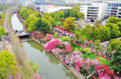 三峽大學：桃花文化節開啟文化交流之旅