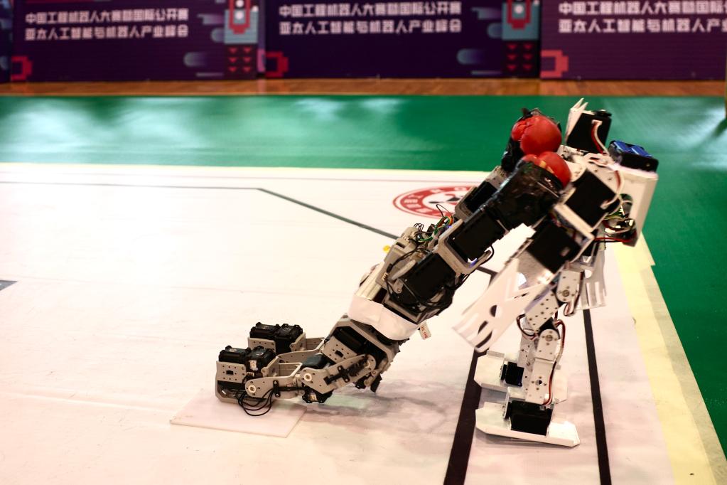看机器人如何助力智能生活——来自第十届中国工程机器人大赛的观察