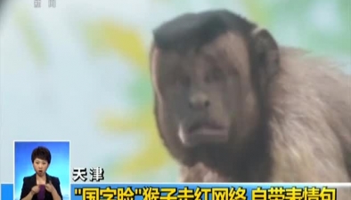 天津:"国字脸"猴子走红网络 自带表情包