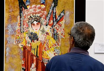 中國瓷藝術展在突尼西亞舉行