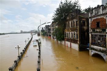 广东阳春部分街道房屋被洪水浸泡