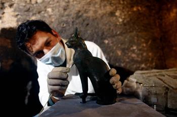 埃及塞加拉古墓群新发现7座法老墓葬
