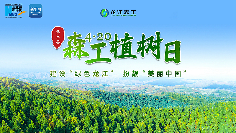直播丨建设“绿色龙江”扮靓“美丽中国”——第二届4·20森工植树日