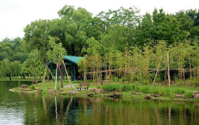 上海共青森林公园2000余平米“幽篁新景”开放