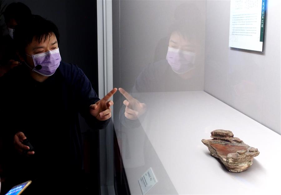 上海博物馆将举办恢复开放后首个特展