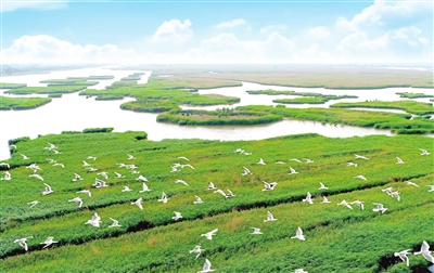 宁河区:宁静致远 河清海晏