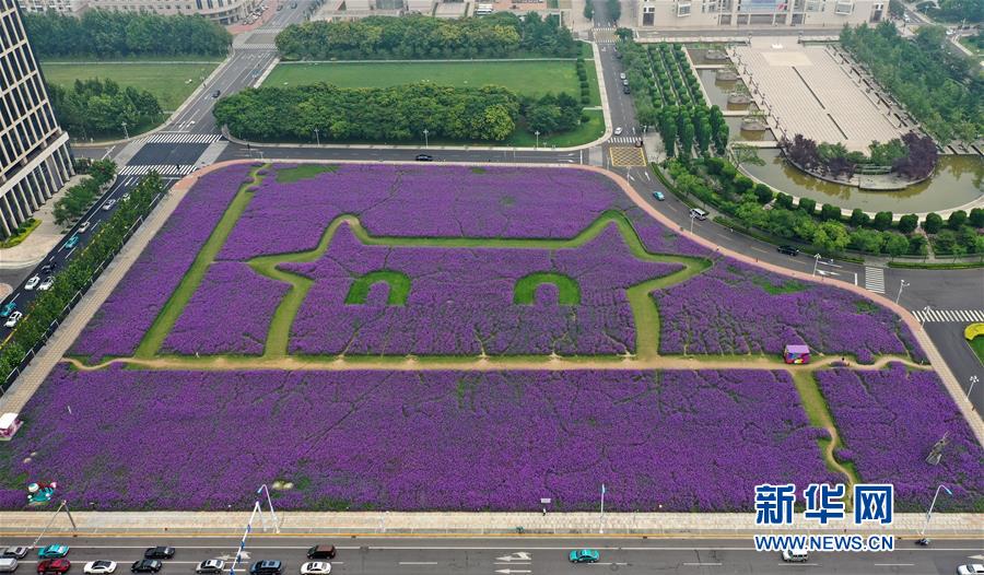 （新华视界）（1）天津：紫色花海扮靓城市景观