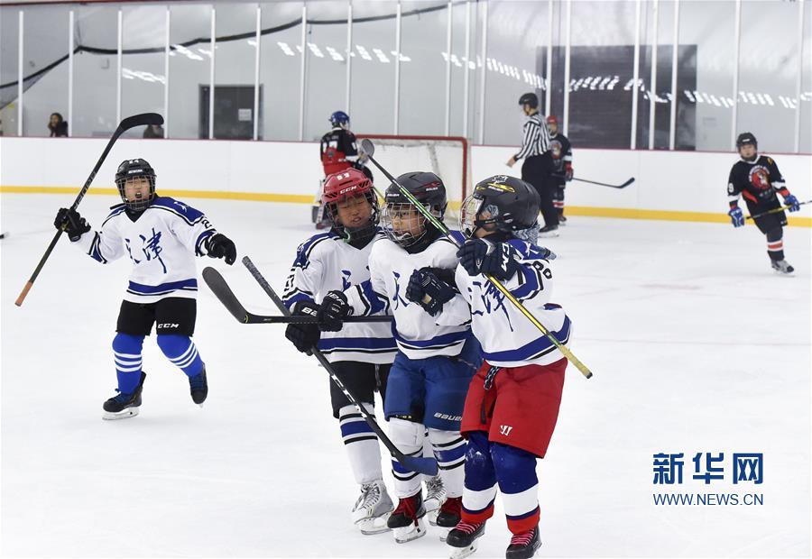 冰球——全国青少年冰球邀请赛u10组:天津队夺冠