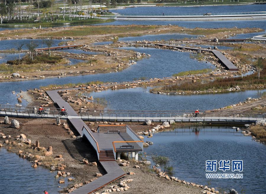 这是10月27日拍摄的天津港保税区临港生态湿地公园一景.