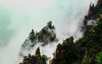 秋雨過後安徽黃山雲霧繚繞宛如仙境